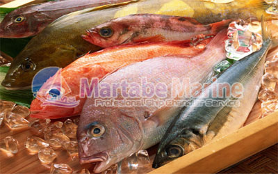 Fresh Seafood